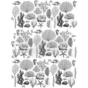 Redesign Decor Transfer | COASTAL SEA LIFE | Rare (retired)  | 24” x 32”